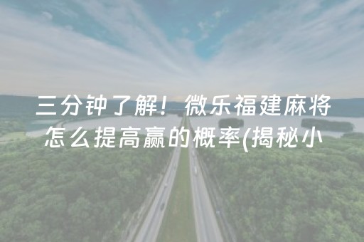 三分钟了解！微乐福建麻将怎么提高赢的概率(揭秘小程序助攻神器)