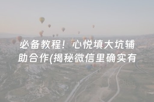 必备教程！心悦填大坑辅助合作(揭秘微信里确实有猫腻)