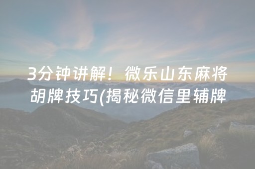 3分钟讲解！微乐山东麻将胡牌技巧(揭秘微信里辅牌器)