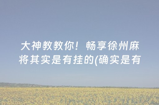 大神教教你！畅享徐州麻将其实是有挂的(确实是有挂的)