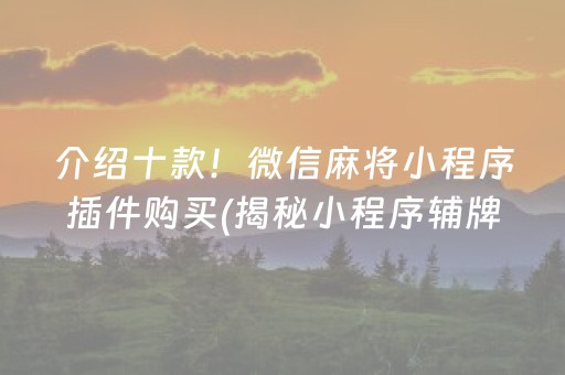 介绍十款！微信麻将小程序插件购买(揭秘小程序辅牌器)
