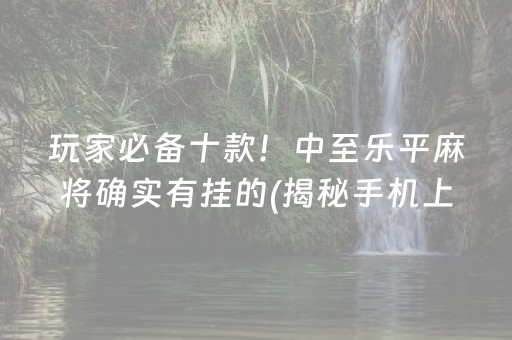 玩家必备十款！中至乐平麻将确实有挂的(揭秘手机上胡牌神器)