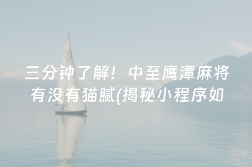 三分钟了解！中至鹰潭麻将有没有猫腻(揭秘小程序如何让牌变好)