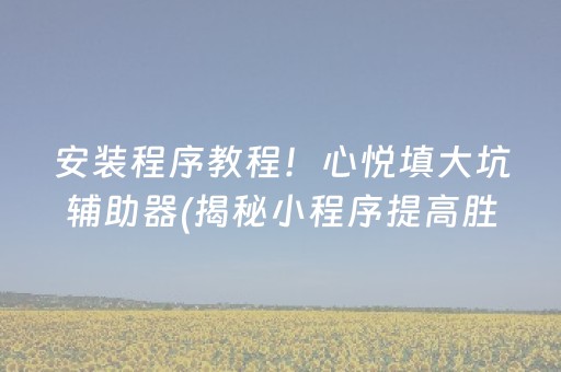 安装程序教程！心悦填大坑辅助器(揭秘小程序提高胜率)