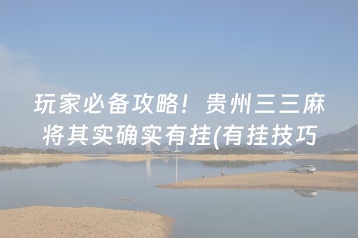 玩家必备攻略！贵州三三麻将其实确实有挂(有挂技巧辅助器)
