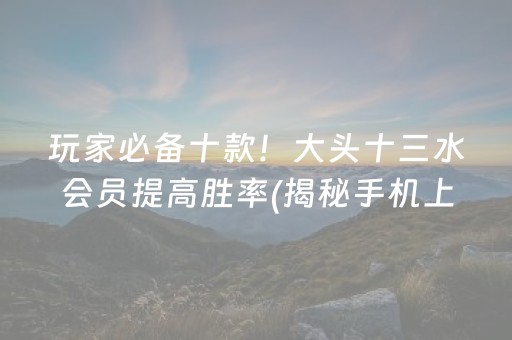 玩家必备十款！大头十三水会员提高胜率(揭秘手机上辅牌器)