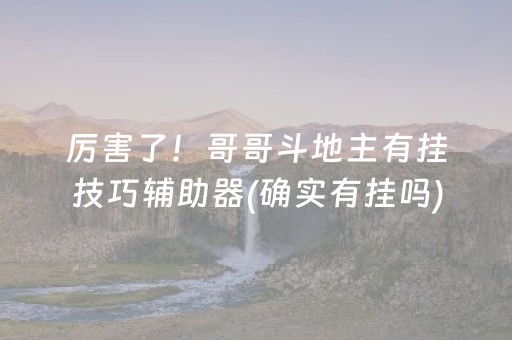 厉害了！哥哥斗地主有挂技巧辅助器(确实有挂吗)