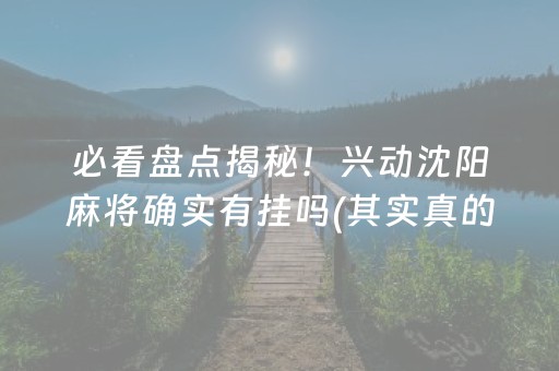 必看盘点揭秘！兴动沈阳麻将确实有挂吗(其实真的有挂)