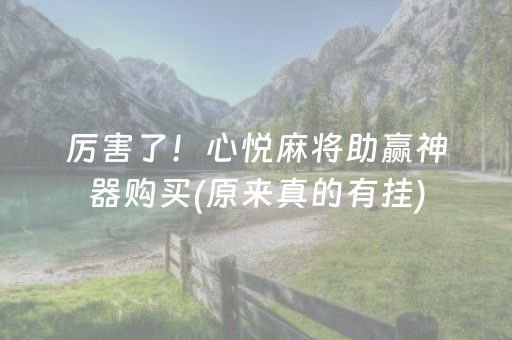 厉害了！心悦麻将助赢神器购买(原来真的有挂)