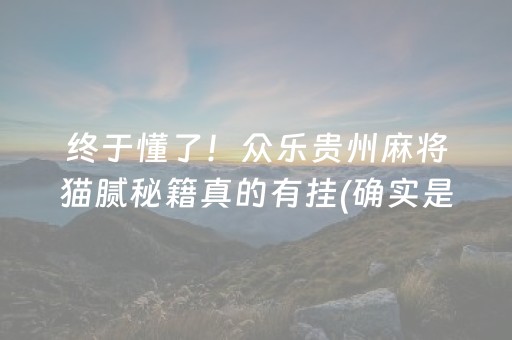 终于懂了！众乐贵州麻将猫腻秘籍真的有挂(确实是有挂)