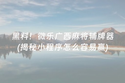 黑料！微乐广西麻将辅牌器(揭秘小程序怎么容易赢)