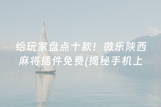给玩家盘点十款！微乐陕西麻将插件免费(揭秘手机上如何让牌变好)
