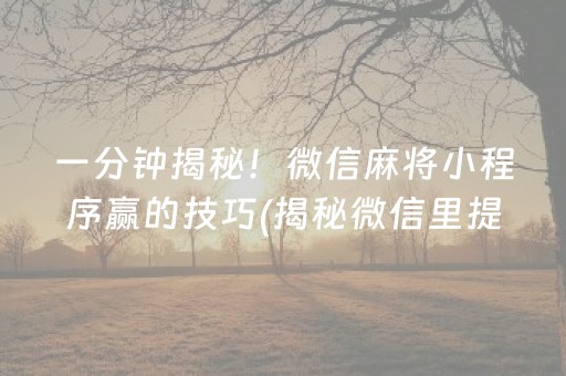 一分钟揭秘！微信麻将小程序赢的技巧(揭秘微信里提高赢的概率)