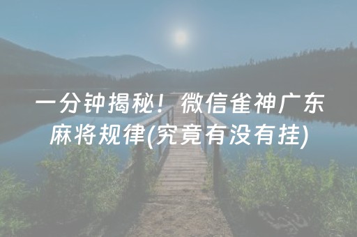 一分钟揭秘！微信雀神广东麻将规律(究竟有没有挂)