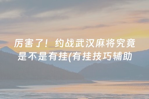 厉害了！约战武汉麻将究竟是不是有挂(有挂技巧辅助器)