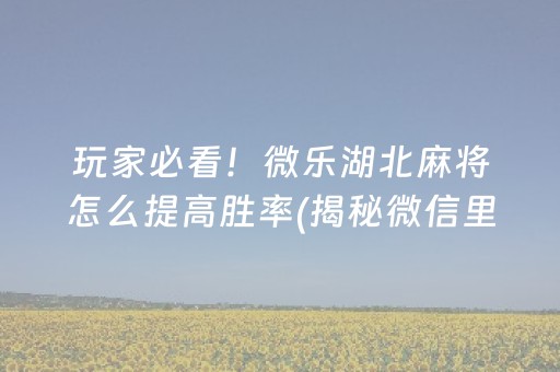 玩家必看！微乐湖北麻将怎么提高胜率(揭秘微信里最新神器下载)