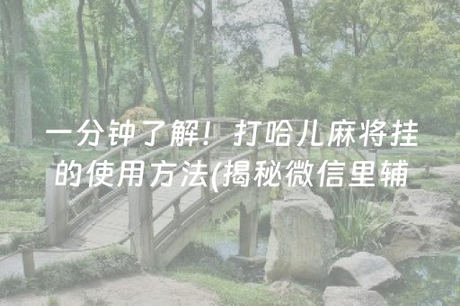 一分钟了解！打哈儿麻将挂的使用方法(揭秘微信里辅牌器)