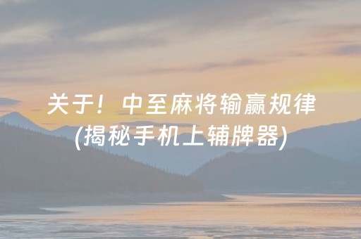 关于！中至麻将输赢规律(揭秘手机上辅牌器)