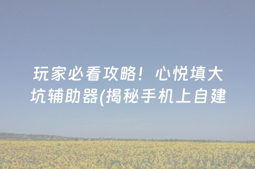 玩家必看攻略！心悦填大坑辅助器(揭秘手机上自建房怎么赢)