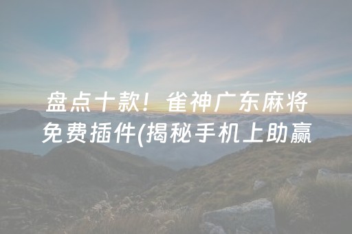 盘点十款！雀神广东麻将免费插件(揭秘手机上助赢神器购买)