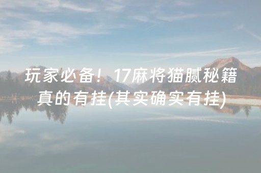 玩家必备！17麻将猫腻秘籍真的有挂(其实确实有挂)