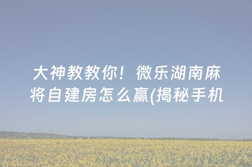 大神教教你！微乐湖南麻将自建房怎么赢(揭秘手机上赢牌技巧)