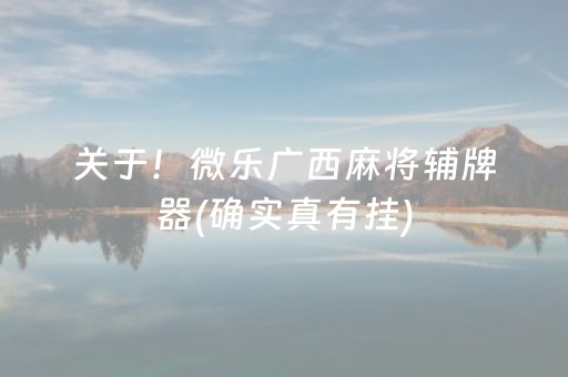 关于！微乐广西麻将辅牌器(确实真有挂)