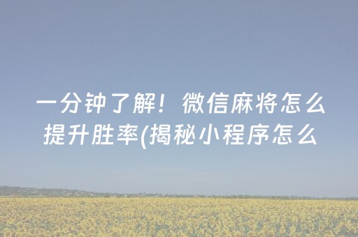 一分钟了解！微信麻将怎么提升胜率(揭秘小程序怎么容易赢)