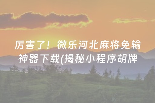 厉害了！微乐河北麻将免输神器下载(揭秘小程序胡牌神器)
