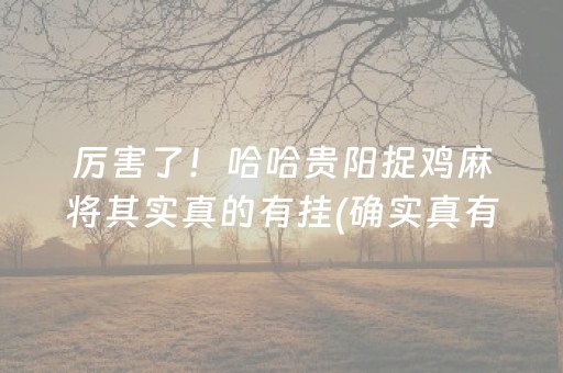 厉害了！哈哈贵阳捉鸡麻将其实真的有挂(确实真有挂)
