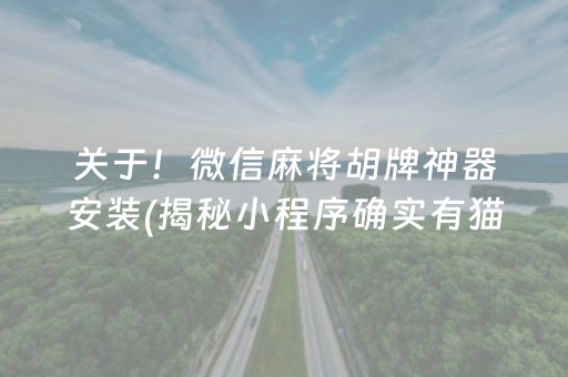 关于！微信麻将胡牌神器安装(揭秘小程序确实有猫腻)