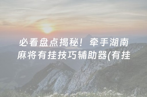 必看盘点揭秘！牵手湖南麻将有挂技巧辅助器(有挂技巧辅助器)