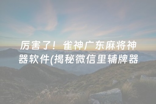 厉害了！雀神广东麻将神器软件(揭秘微信里辅牌器)