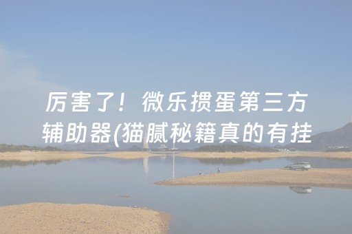 厉害了！微乐掼蛋第三方辅助器(猫腻秘籍真的有挂)