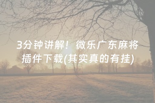 3分钟讲解！微乐广东麻将插件下载(其实真的有挂)
