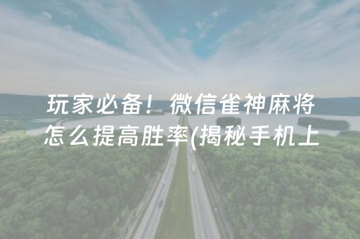 玩家必备！微信雀神麻将怎么提高胜率(揭秘手机上提高赢的概率)