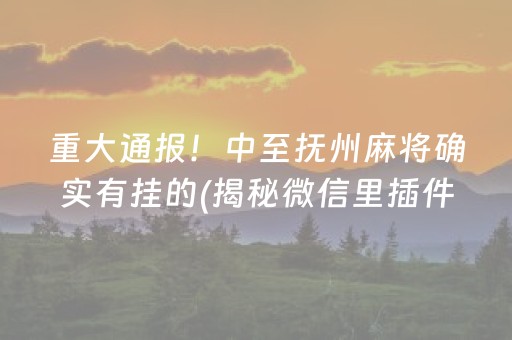 重大通报！中至抚州麻将确实有挂的(揭秘微信里插件购买)