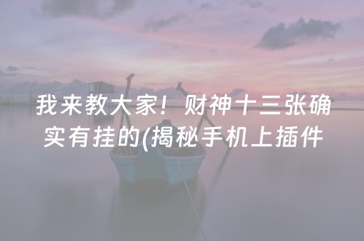 我来教大家！财神十三张确实有挂的(揭秘手机上插件购买)