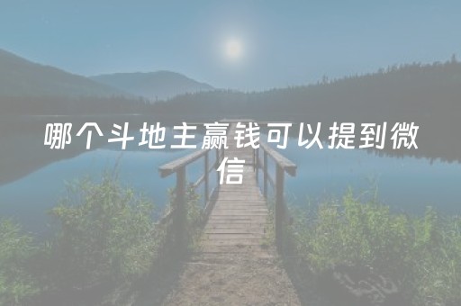 哪个斗地主赢钱可以提到微信（正规斗地主1元2元5元）