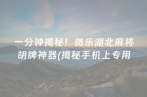 一分钟揭秘！微乐湖北麻将胡牌神器(揭秘手机上专用神器下载)