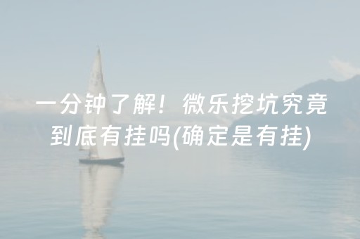 一分钟了解！微乐挖坑究竟到底有挂吗(确定是有挂)