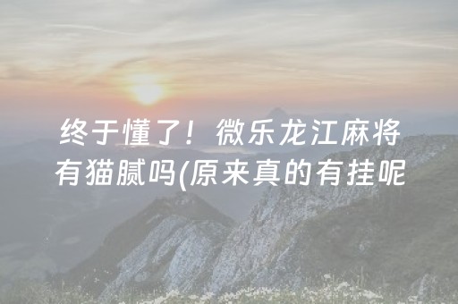 终于懂了！微乐龙江麻将有猫腻吗(原来真的有挂呢)