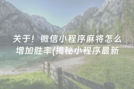 关于！微信小程序麻将怎么增加胜率(揭秘小程序最新神器下载)