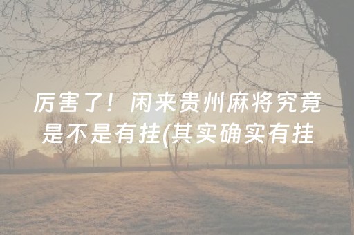 厉害了！闲来贵州麻将究竟是不是有挂(其实确实有挂)