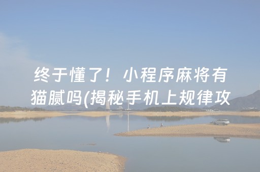 终于懂了！小程序麻将有猫腻吗(揭秘手机上规律攻略)