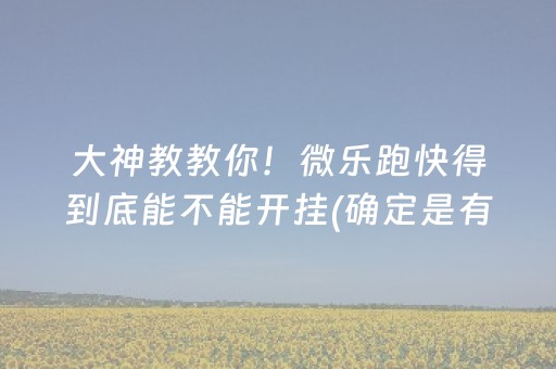 大神教教你！微乐跑快得到底能不能开挂(确定是有挂)