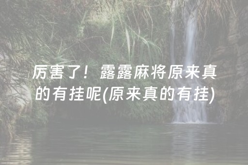 厉害了！露露麻将原来真的有挂呢(原来真的有挂)