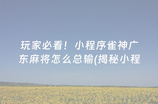玩家必看！小程序雀神广东麻将怎么总输(揭秘小程序助手软件)