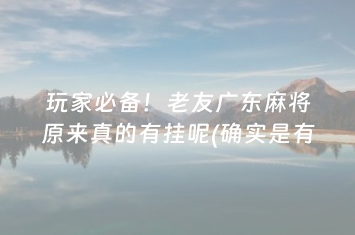 玩家必备！老友广东麻将原来真的有挂呢(确实是有挂的)