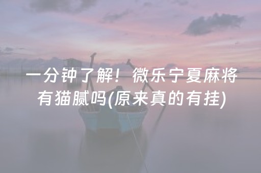 一分钟了解！微乐宁夏麻将有猫腻吗(原来真的有挂)